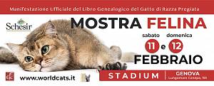 Mostra internazionale felina di genova